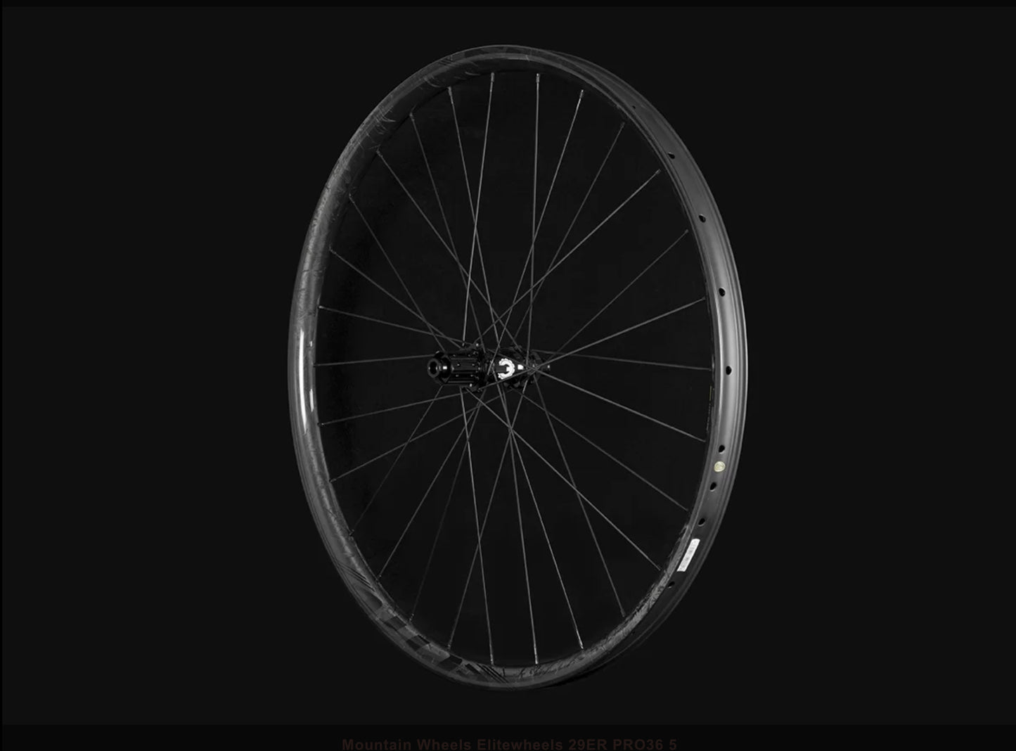 MTB 29er Gnar