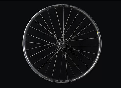 MTB 29er Gnar
